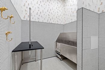 Pet spa at The Hallon luxury apartments in Hopkins, MN